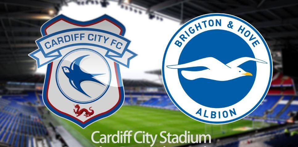 tip-keo-bong-da-ngay-10-11-2018-cardiff-city-vs-brighton-1