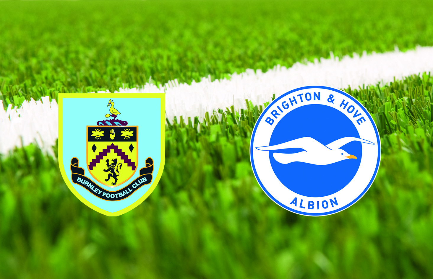 burnley-vs-brighton-–-tip-bong-da-8-12-2018 1