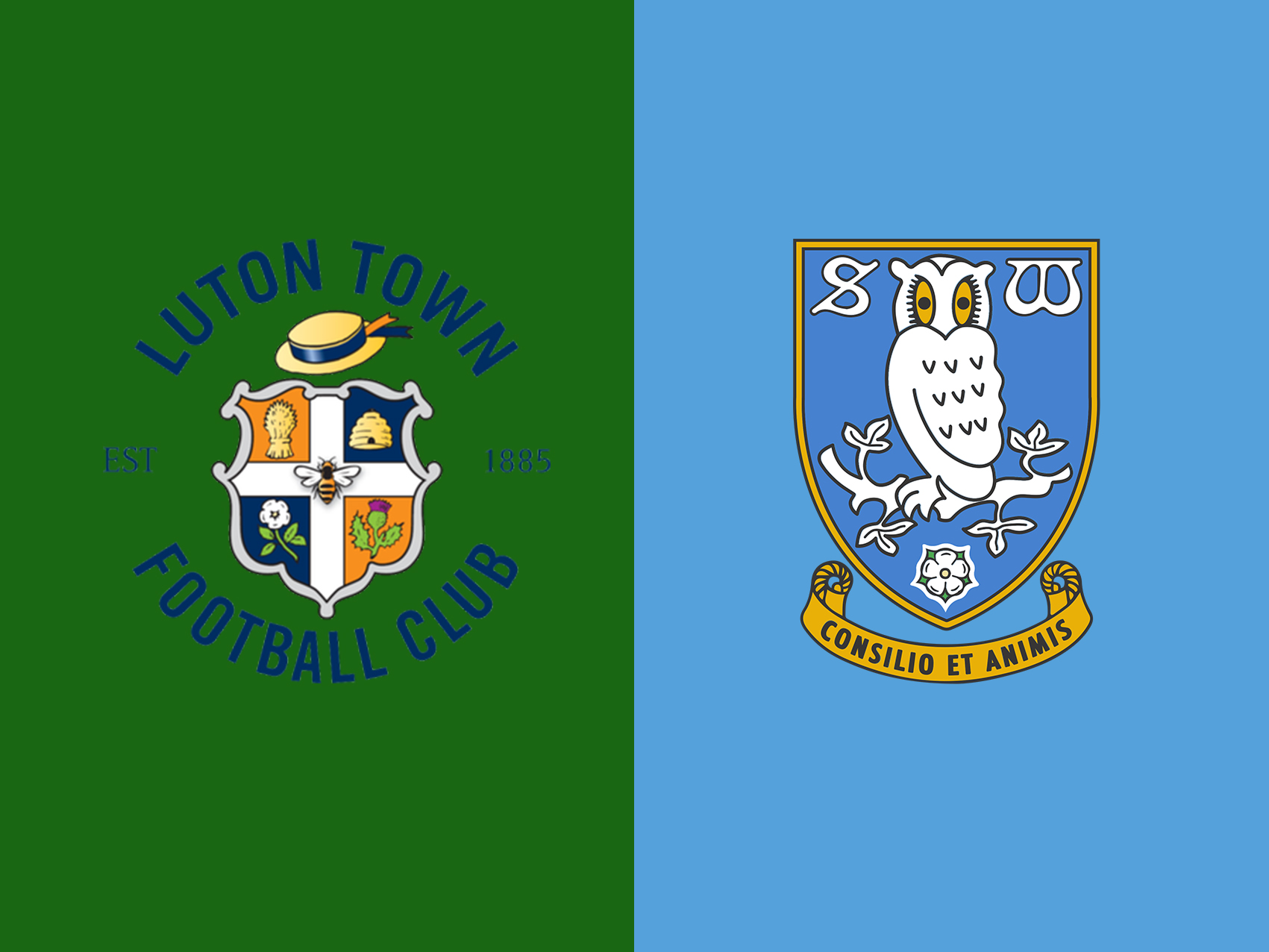 luton-town-vs-sheffield-wednesday-–-tip-bong-da-16-1-2019 1