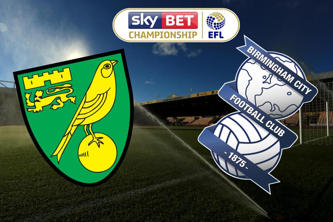 tip-keo-bong-da-ngay-17-01-2019-norwich-city-vs-birmingham-city-1