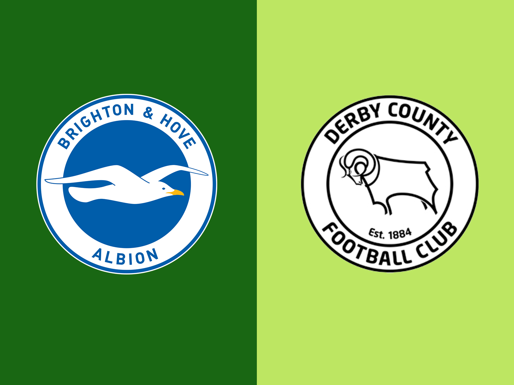 brighton-vs-derby-county-–-tip-bong-da-16-2-2019 1