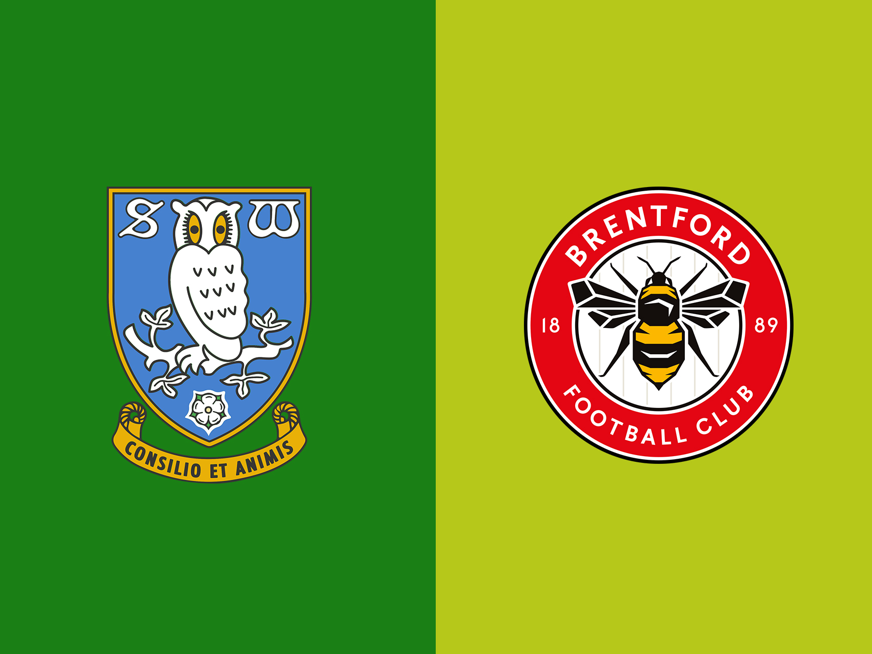 sheffield-wed-vs-brentford-–-tip-bong-da-27-2-2019 1