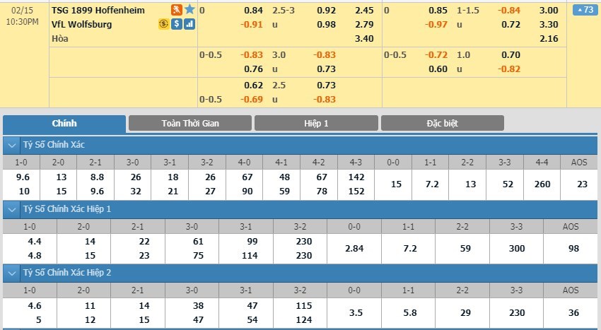 tip-keo-bong-da-ngay-13-02-2020-1899-hoffenheim-vs-vfl-wolfsburg