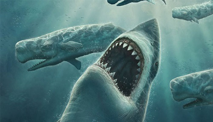 Mơ thấy nhiều con cá mập tấn công lẫn nhau