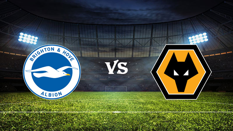 Nhận định soi kèo Brighton vs Wolves 21h00 ngày 29/04/2023 – Ngoại Hạng Anh