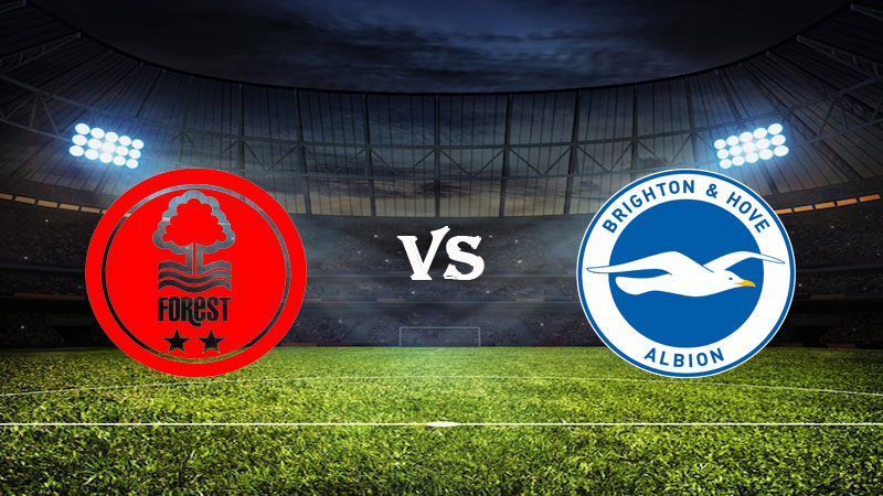 Nhận định soi kèo Nottingham vs Brighton 01h30 ngày 27/04/2023 – Ngoại Hạng Anh