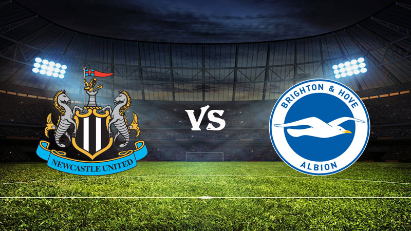 Nhận định soi kèo Newcastle vs Brighton 01h45 ngày 19/05/2023 – Ngoại Hạng Anh