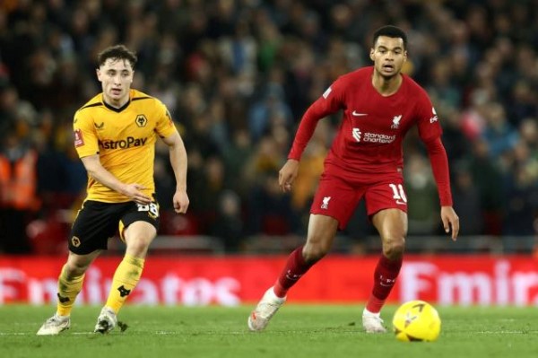 Thành tích thi đấu gần đây của Wolverhampton và Liverpool