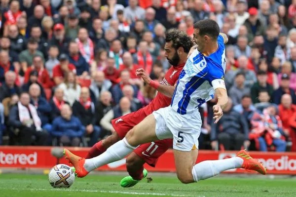 Thành tích thi đấu gần đây của Brighton vs Liverpool