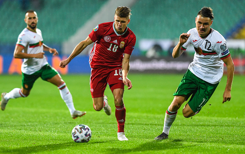 Tổng hợp kết quả nhận định trận đấu Bulgaria vs Hungary 