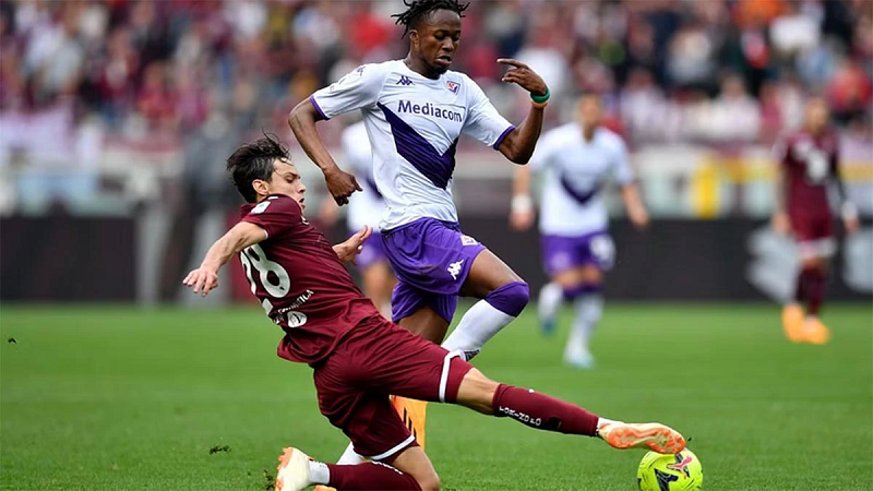 Tổng hợp kết quả nhận định trận đấu Fiorentina vs Torino 