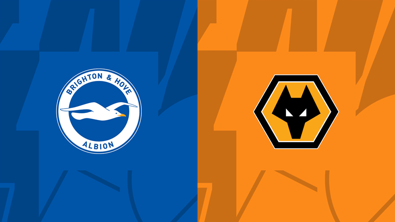 Soi kèo nhà cái Brighton vs Wolverhampton – Premier League – 23/1/2024