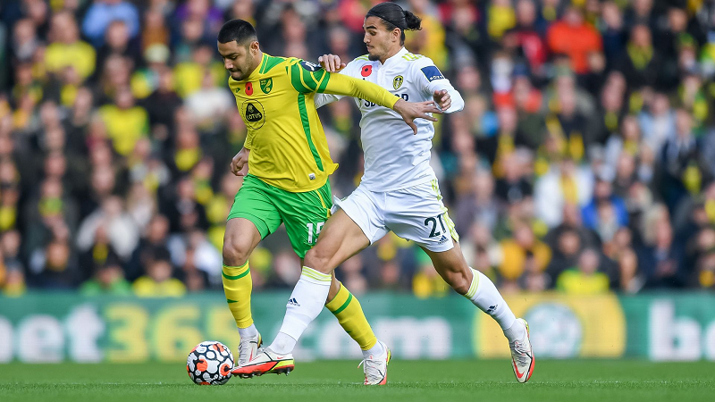 Tổng hợp kết quả nhận định trận đấu Leeds vs Norwich City  