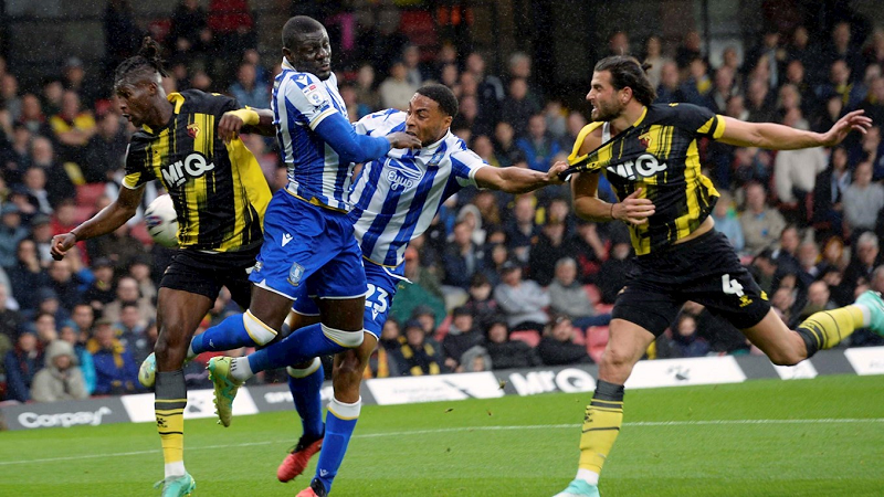 Nhận định trận đấu Sheffield Wednesday vs Watford 