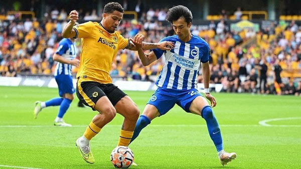 Soi kèo và nhận định Brighton - Wolves