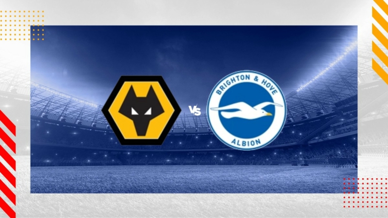 Soi kèo nhà cái Wolves vs Brighton – Cup FA – 29/2/2024