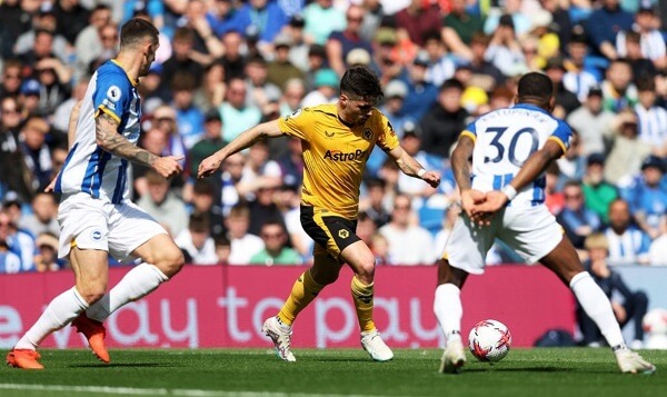 Soi kèo và nhận định Wolves - Brighton