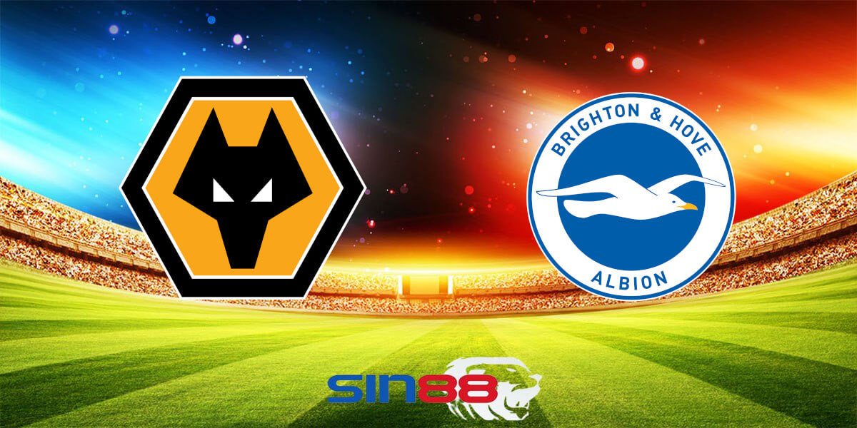 Nhận định bóng đá Wolves - Brighton 02h45 ngày 29/02/2024 - FA Cup (Kate)