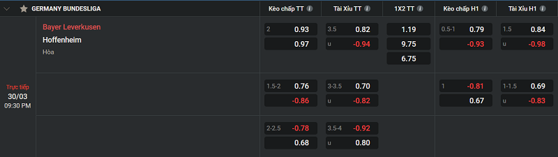Tip kèo Châu Âu Bayer Leverkusen vs Hoffenheim 