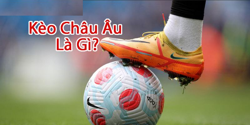 Dựa vào bảng kèo của nhà cái 