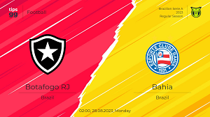 Nhận định trận đấu Botafogo RJ vs Bahia BA, 04h30 ngày 06/05/2024