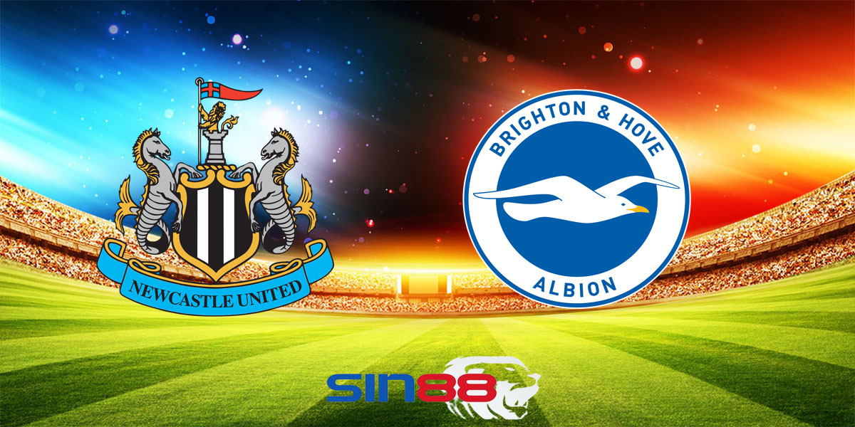 Nhận định bóng đá Newcastle - Brighton 21h00 ngày 11/05/2024 – Ngoại hạng Anh (Kate)