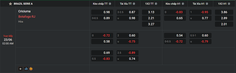 Tip Criciuma vs Botafogo RJ uk88