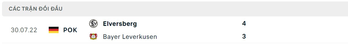 Thống kê lịch sử đối đầu giữa Bayer Leverkusen vs SV 07 Elversberg
