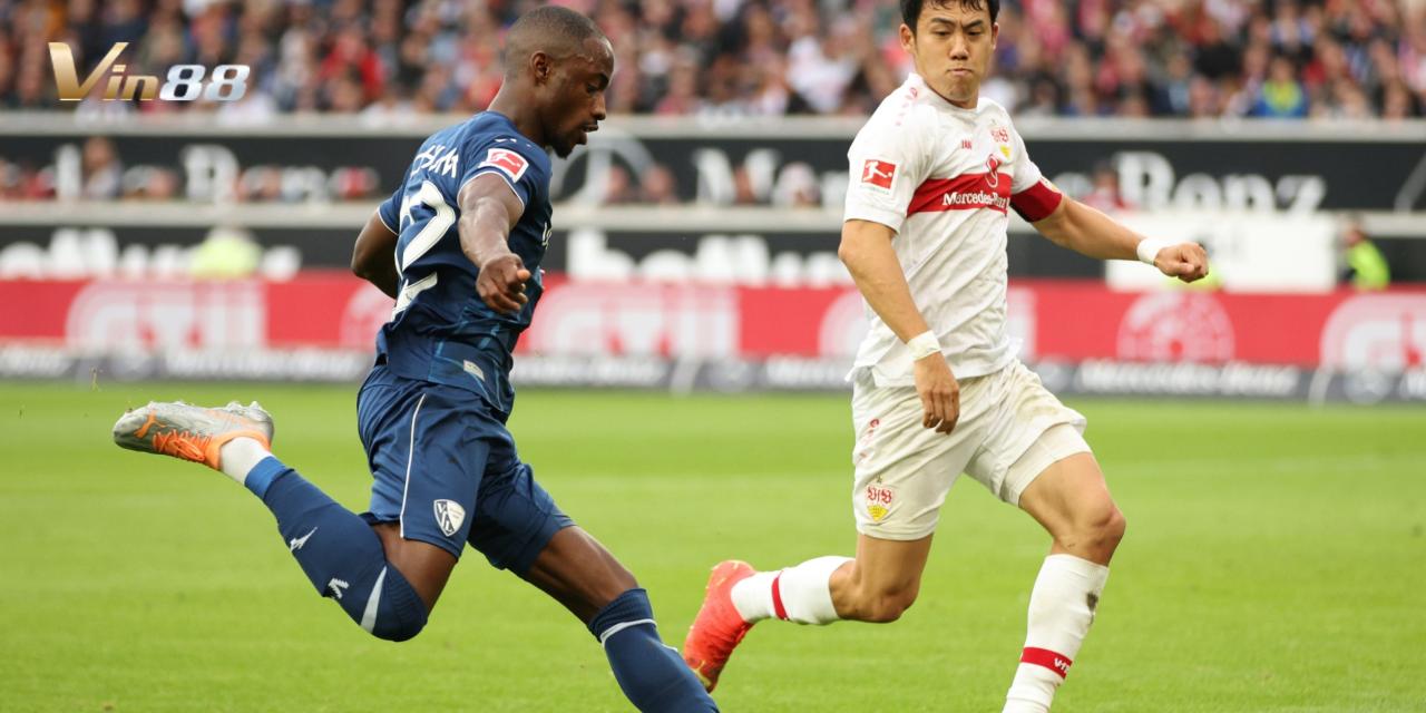 Vin88 đưa ra tỷ lệ cược và dự đoán cho trận Stuttgart vs Bochum