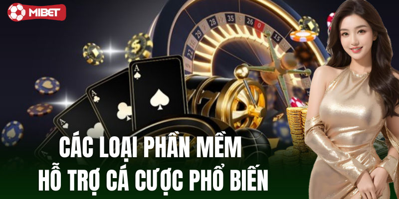 Các loại phần mềm hỗ trợ cá cược phổ biến