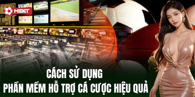 Cách sử dụng phần mềm hỗ trợ cá cược hiệu quả