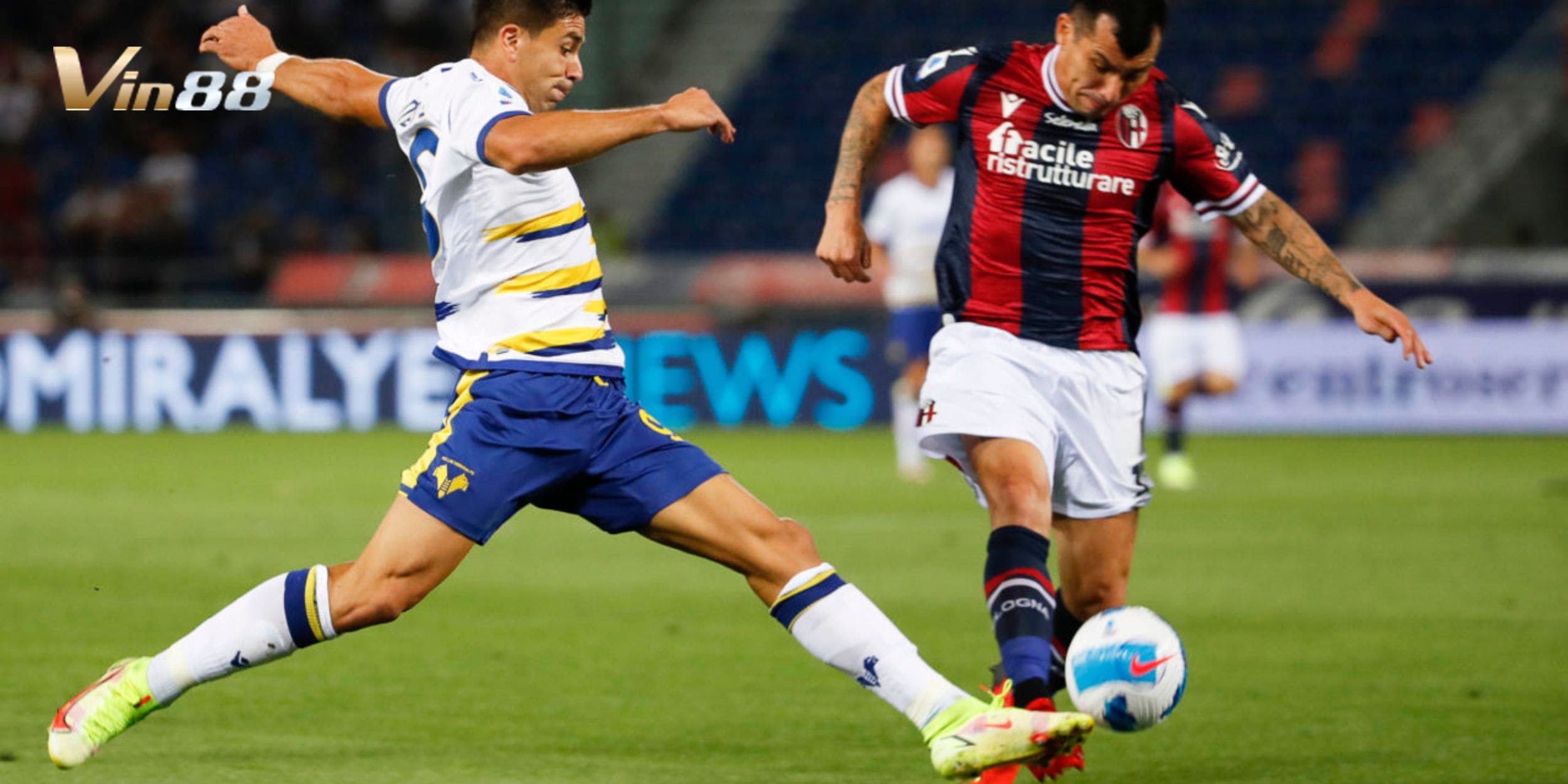 Hellas Verona chỉ thắng 1 trận trong 9 lần đụng độ Bologna tại đấu trường Serie A