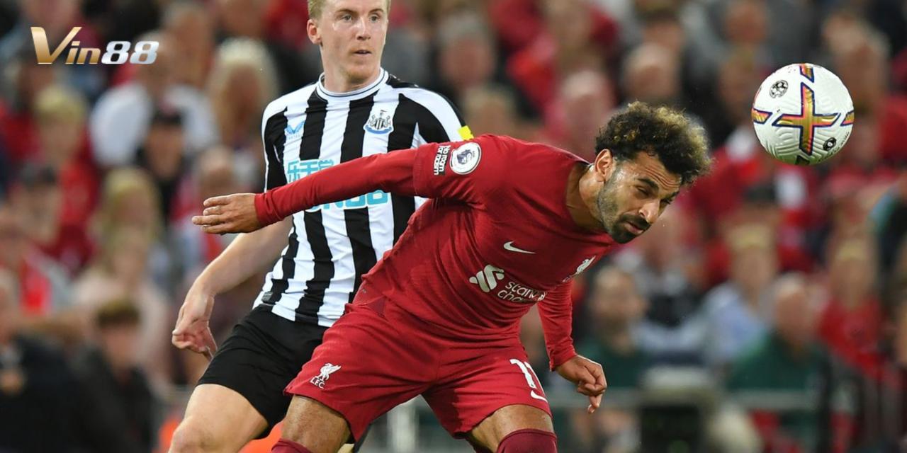 Newcastle United và Liverpool chuẩn bị bước vào cuộc đối đầu kịch tính tại Ngoại Hạng Anh 2024/2025