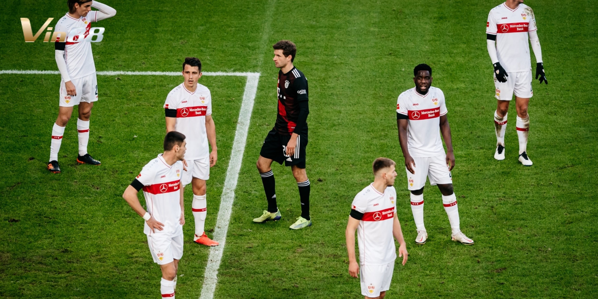 Stuttgart được đánh giá cao trong trận đối đầu với Heidenheim tại vòng 14 Bundesliga 2024/2025