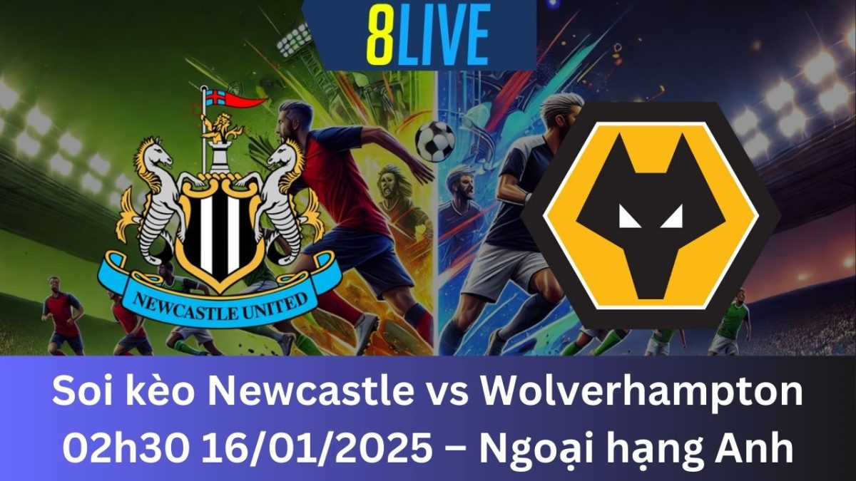 Soi kèo Newcastle vs Wolverhampton 02h30 16/01/2025 – Ngoại hạng Anh