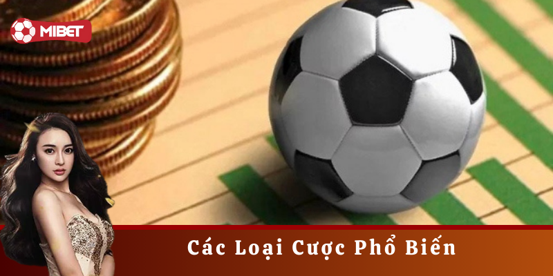 Các Loại Cược Phổ Biến là gì?