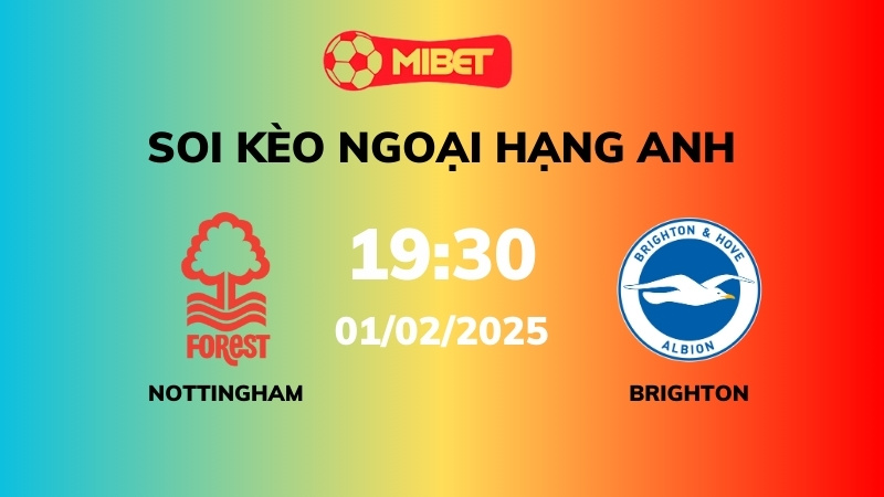 Soi kèo Nottingham Forest vs Brighton – 19h30 – 01/02 – Ngoại hạng Anh