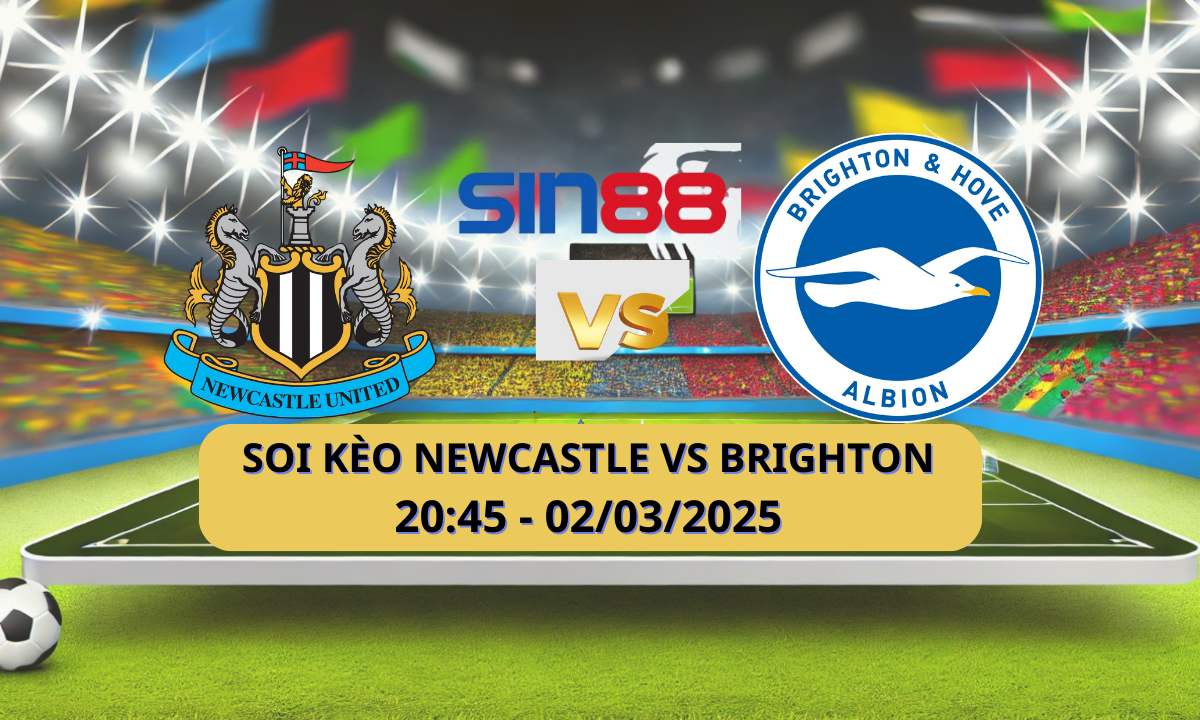 Nhận định bóng đá Newcastle - Brighton 20h45 ngày 02/03/2025 - FA Cup (Kate)