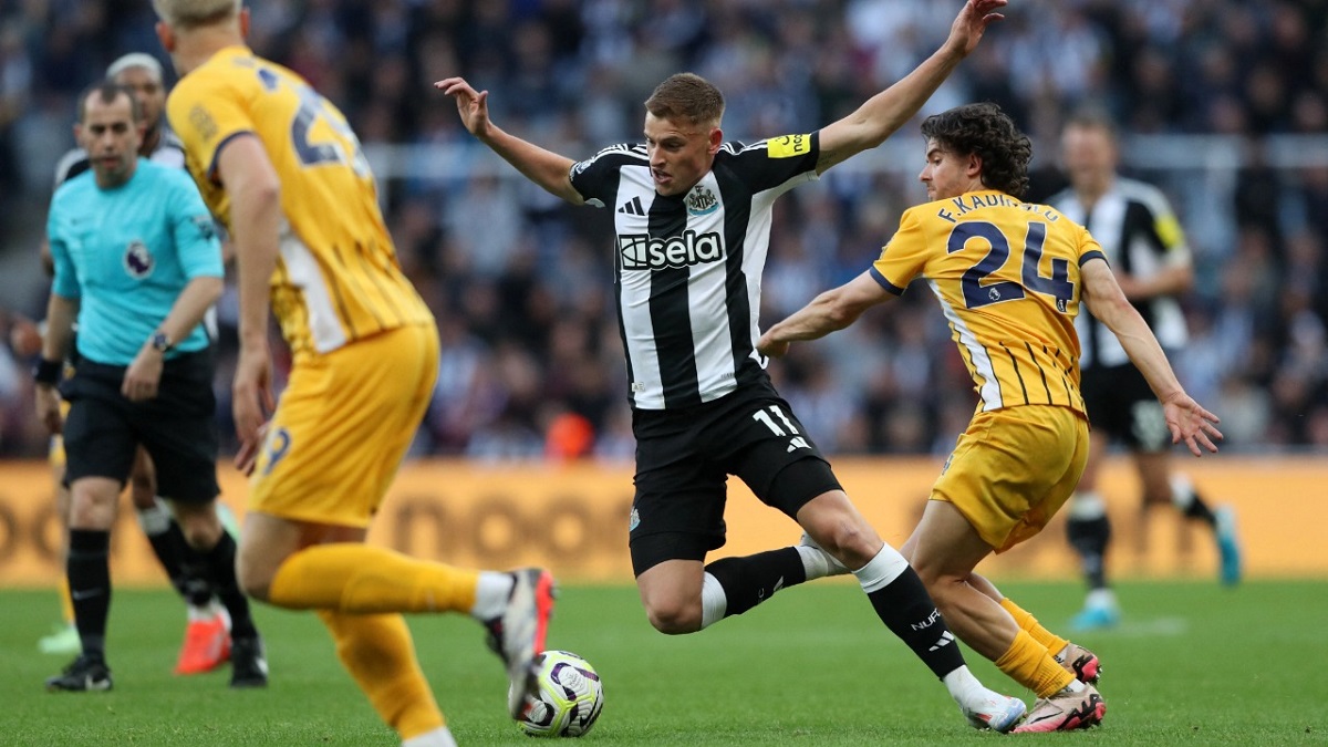 Nhà cái 8LIVE dự đoán tỷ số trận đấu - Newcastle vs Brighton
