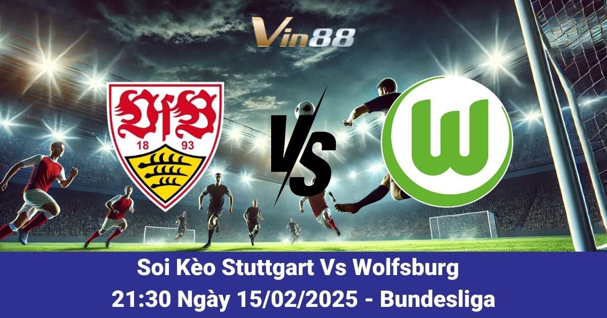 Soi kèo trận đấu giữa Stuttgart vs Wolfsburg ngày 15/02/2025