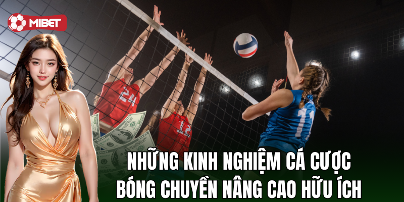 Kinh nghiệm đặt cược bóng chuyền từ chuyên gia