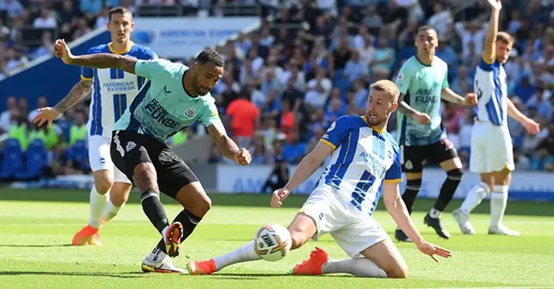 Nhận định trận đấu Brighton vs Newcastle uk88