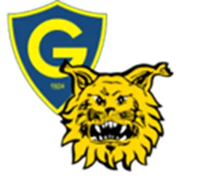 Nhận định trận đấu Gnistan vs FC Ilves uk88