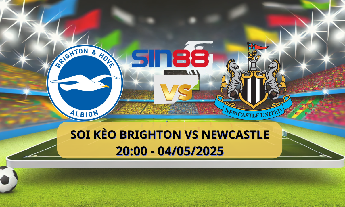 Nhận định bóng đá Brighton - Newcastle 20h00 ngày 04/05/2025 - Ngoại hạng Anh (Kate)