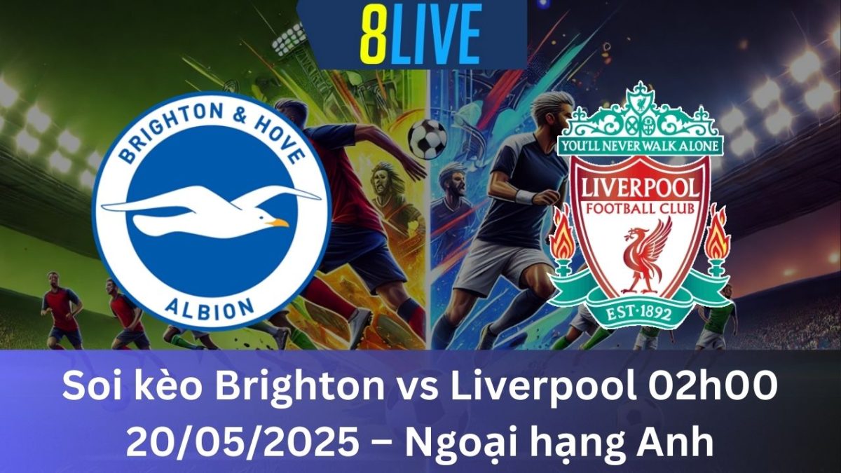 Soi kèo Brighton vs Liverpool 02h00 20/05/2025 – Ngoại hạng Anh