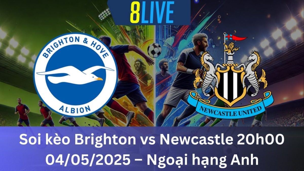 Soi kèo Brighton vs Newcastle 20h00 04/05/2025 – Ngoại hạng Anh