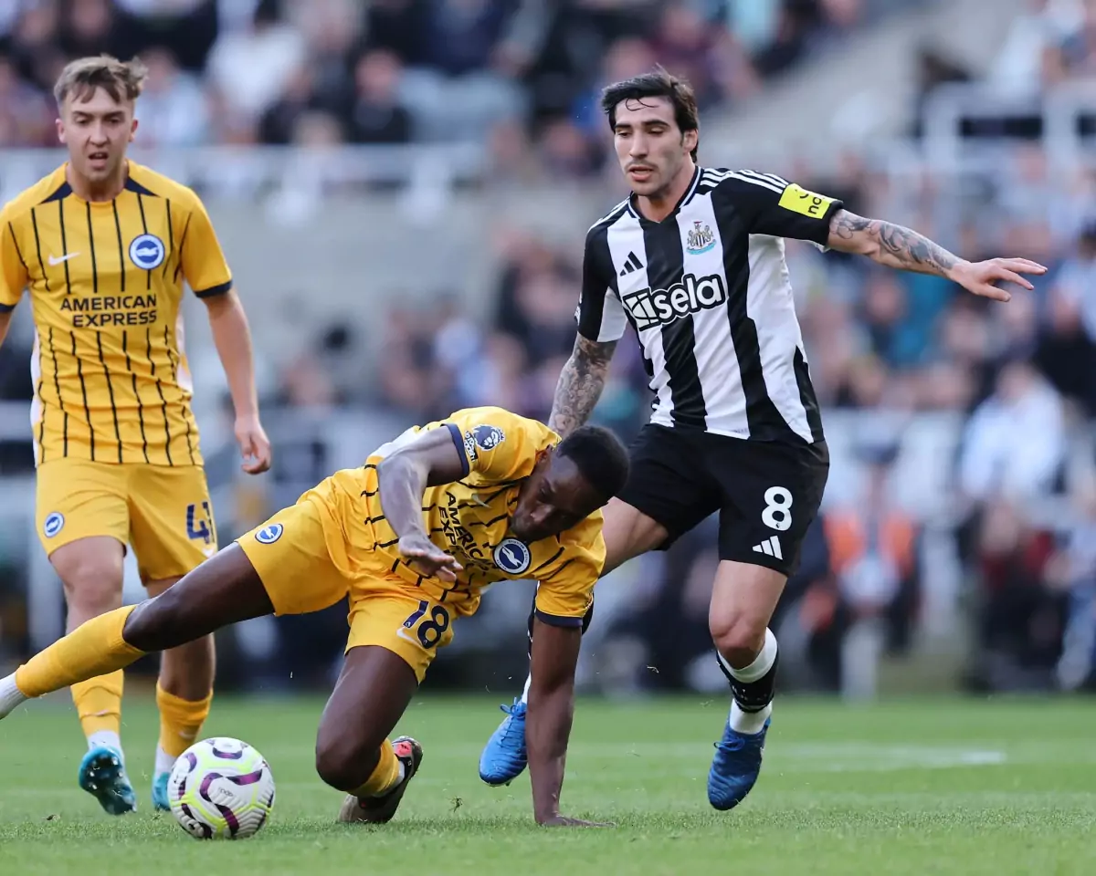 Nhận định Brighton vs Newcastle