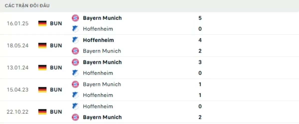 Thành tích thi đấu gần đây của Hoffenheim vs Bayern Munich