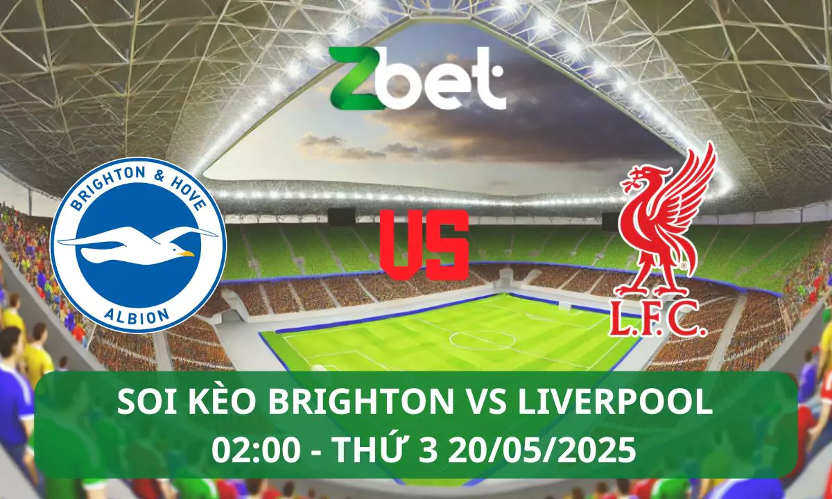 Nhận định soi kèo Brighton vs Liverpool, 02h00 20/05/2025 – Ngoại hạng Anh