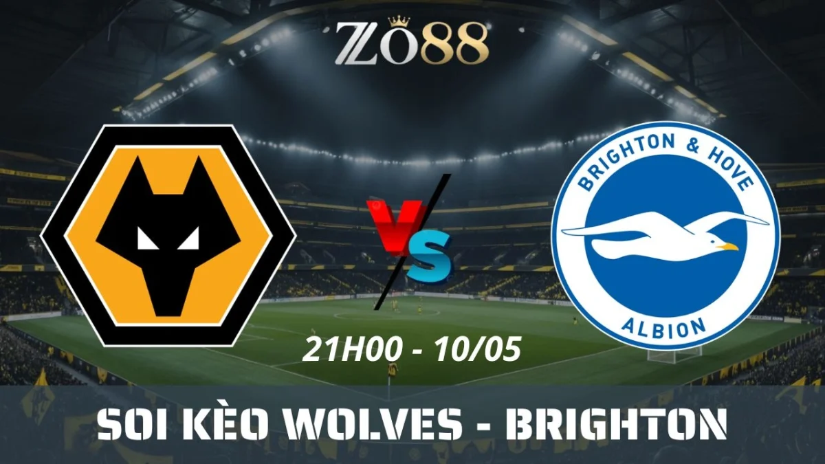 Soi kèo nhà cái Wolves vs Brighton, 10/05/2025 21h00 Ngoại hạng Anh
